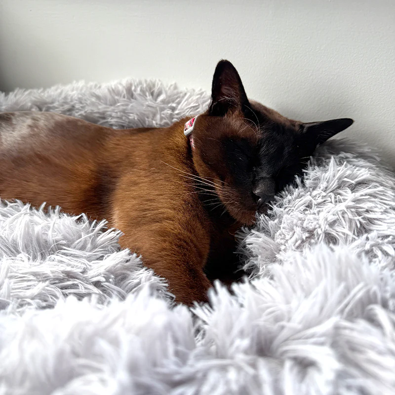 Brooklyn® Deep Sleep Cat Bed - Image 4