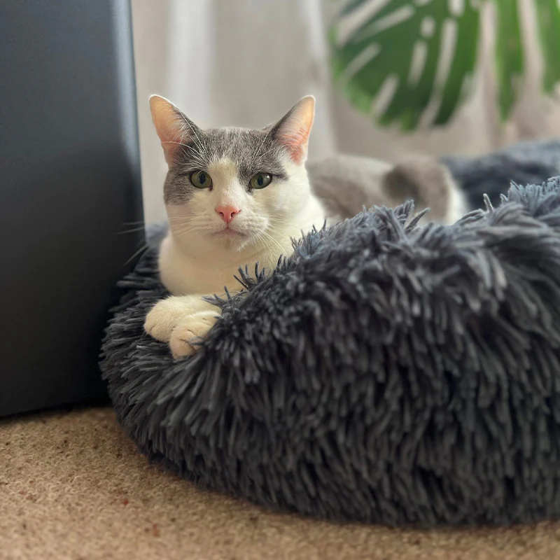 Brooklyn® Deep Sleep Cat Bed - Image 5