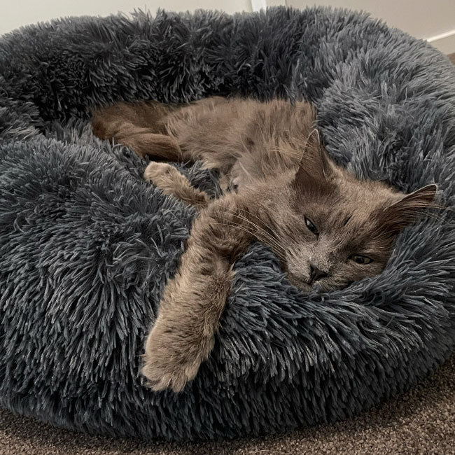 Brooklyn® Deep Sleep Cat Bed - Image 6