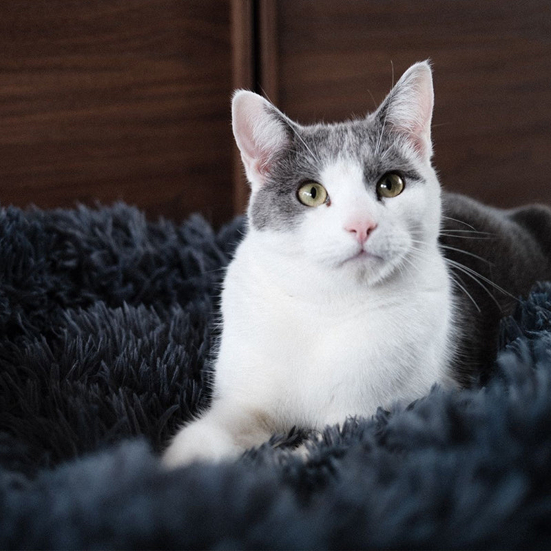 Brooklyn® Deep Sleep Cat Bed - Image 7