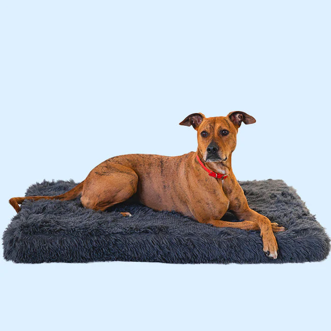 Brooklyn® Memory Foam Bed - Image 11
