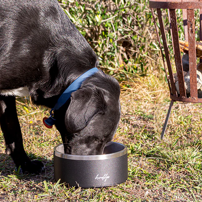 Brooklyn® Tuff Dog Bowl - Image 3