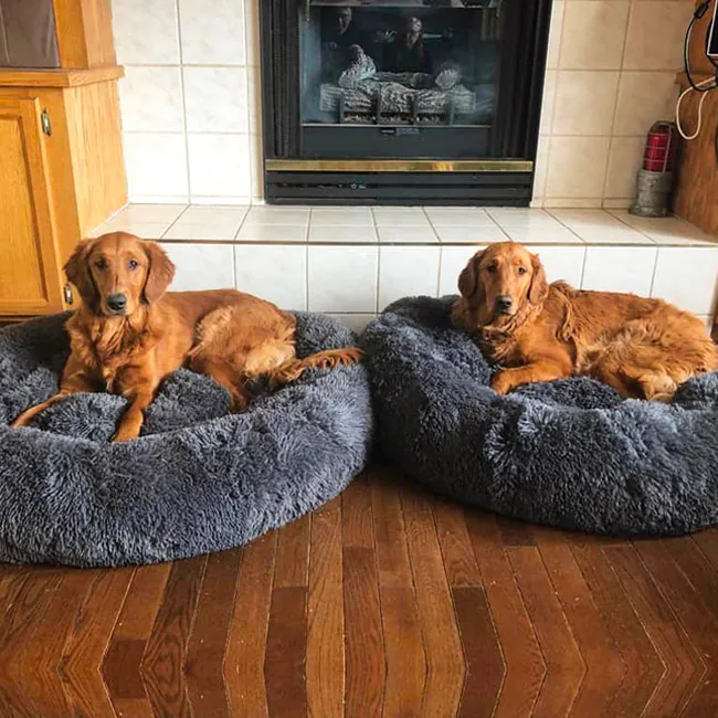 Brooklyn® Deep Sleep Pet Bed - Image 10
