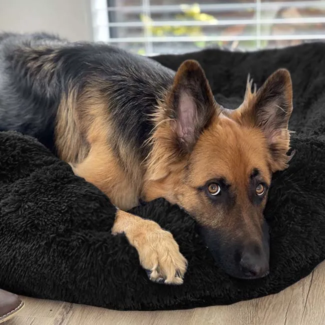 Brooklyn® Deep Sleep Pet Bed - Image 23