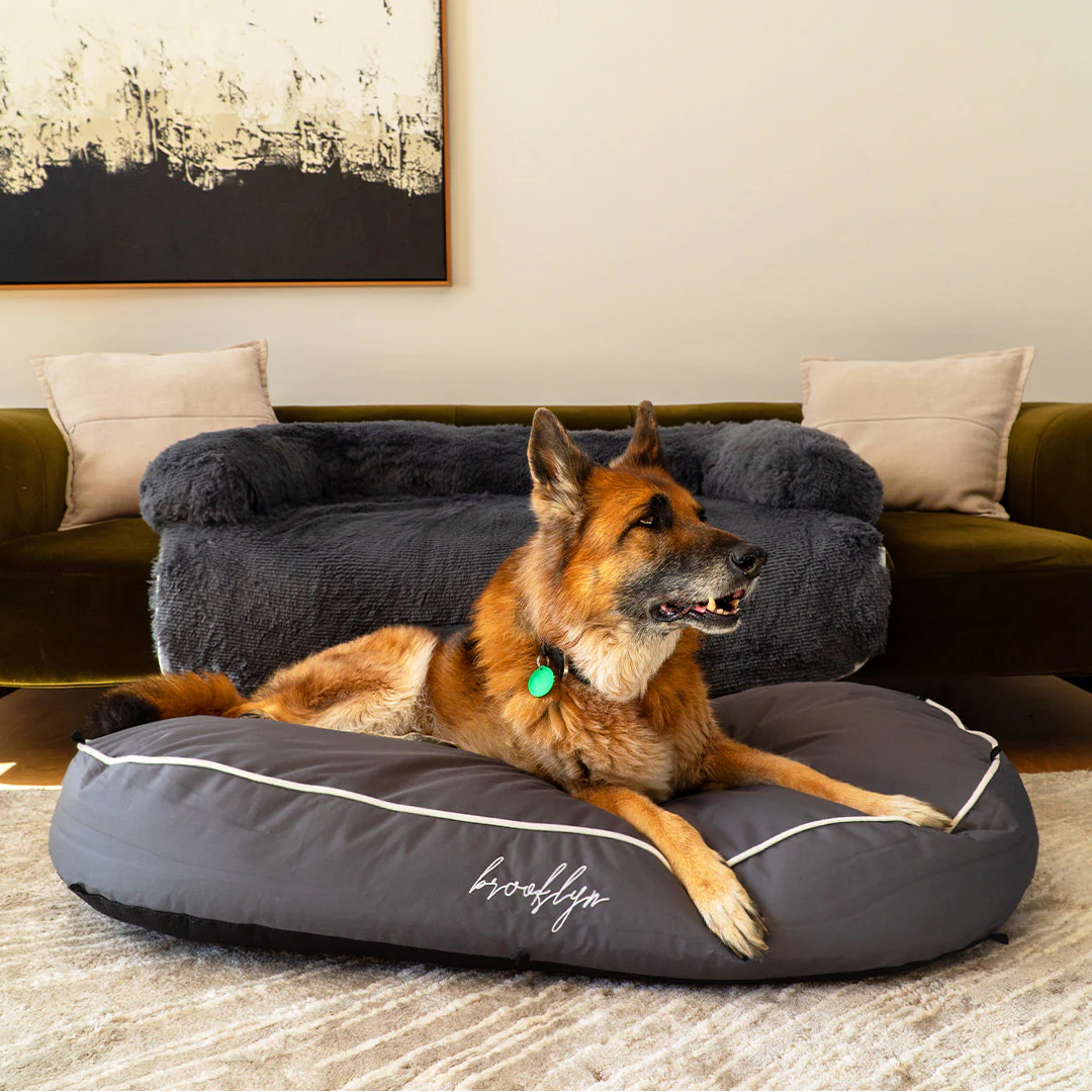 Brooklyn® Chew Resistant Luxe Lounger (2-in-1 Dog Bed) - Image 10
