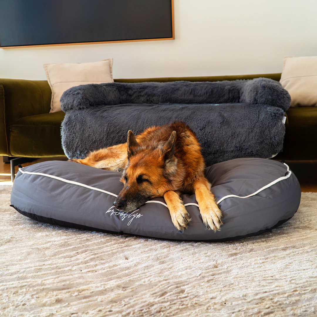 Brooklyn® Chew Resistant Luxe Lounger (2-in-1 Dog Bed) - Image 11