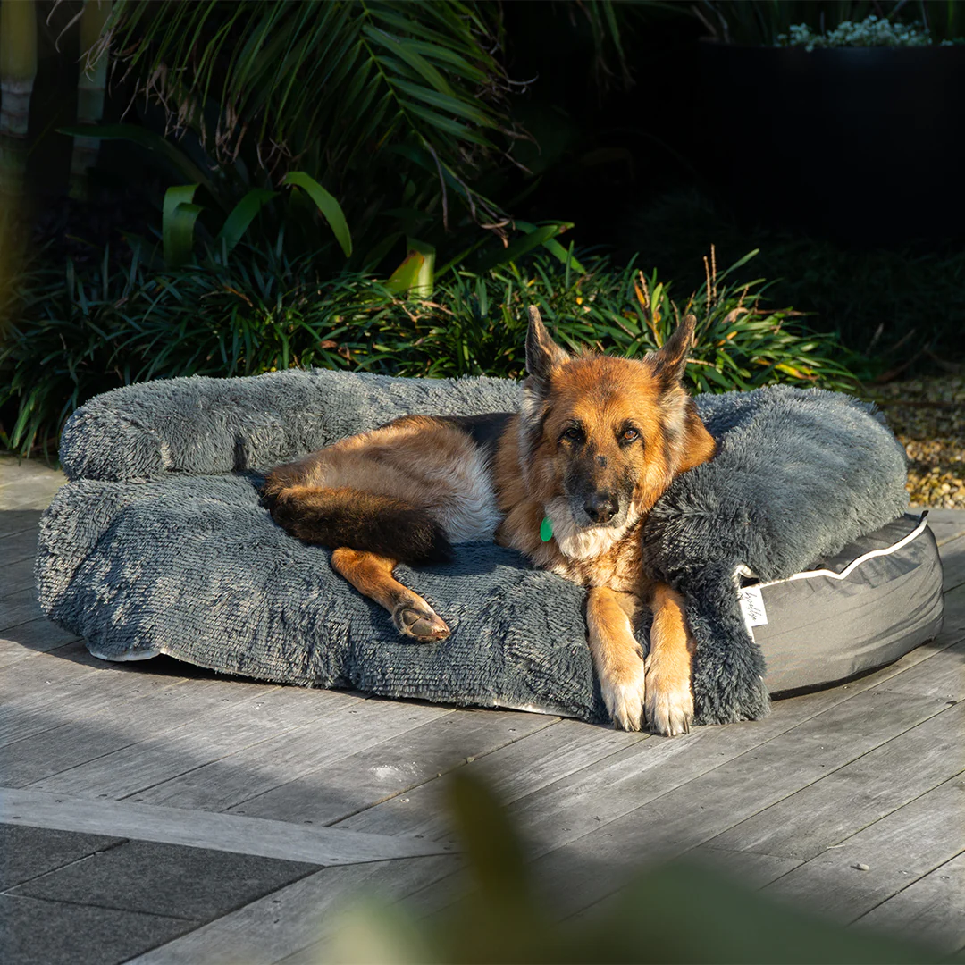 Brooklyn® Chew Resistant Luxe Lounger (2-in-1 Dog Bed) - Image 8