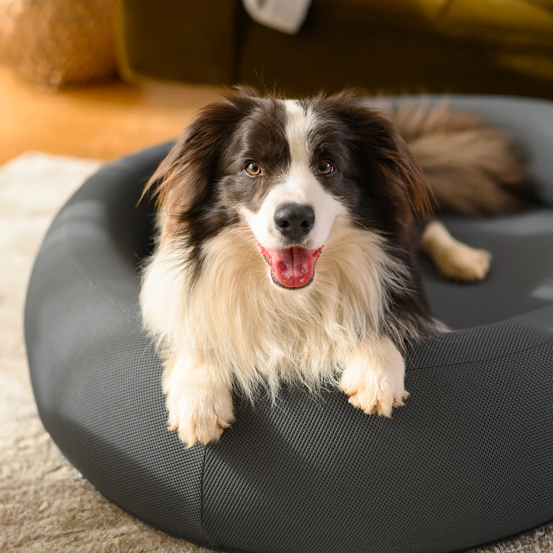 Brooklyn® Nest Dog Bed - Image 14