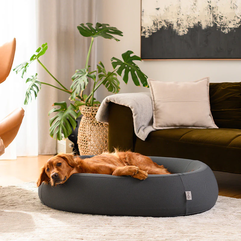 Brooklyn® Nest Dog Bed - Image 17