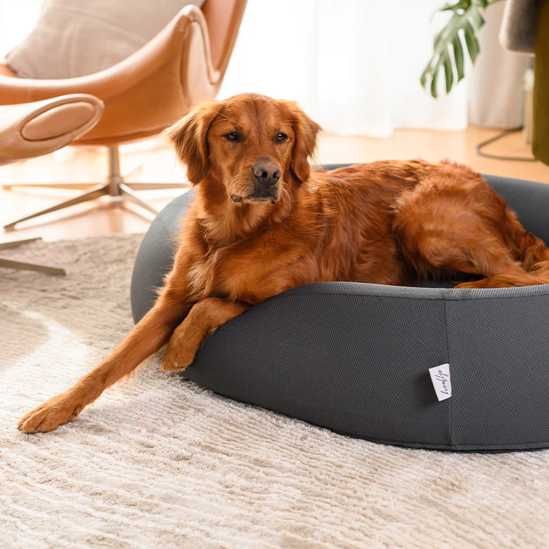 Brooklyn® Nest Dog Bed - Image 18