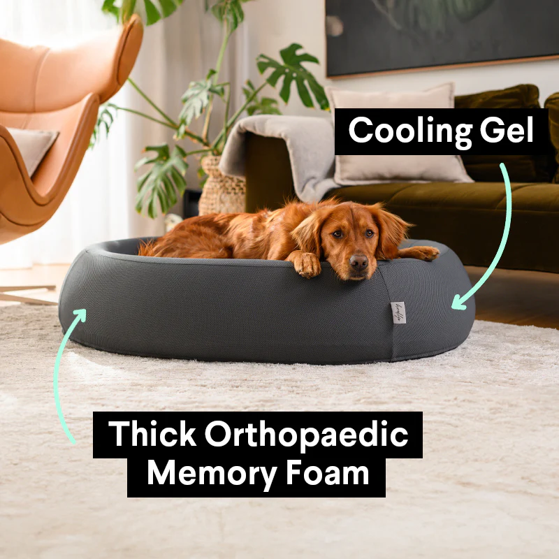 Brooklyn® Nest Dog Bed - Image 3