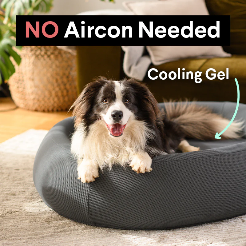 Brooklyn® Nest Dog Bed - Image 4