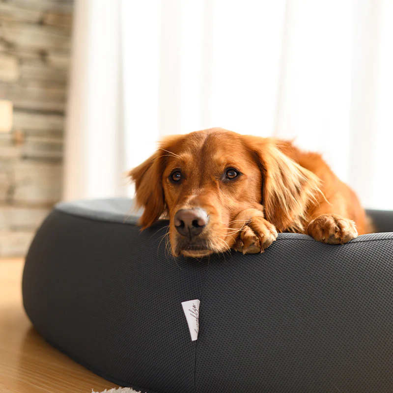 Brooklyn® Nest Dog Bed - Image 6