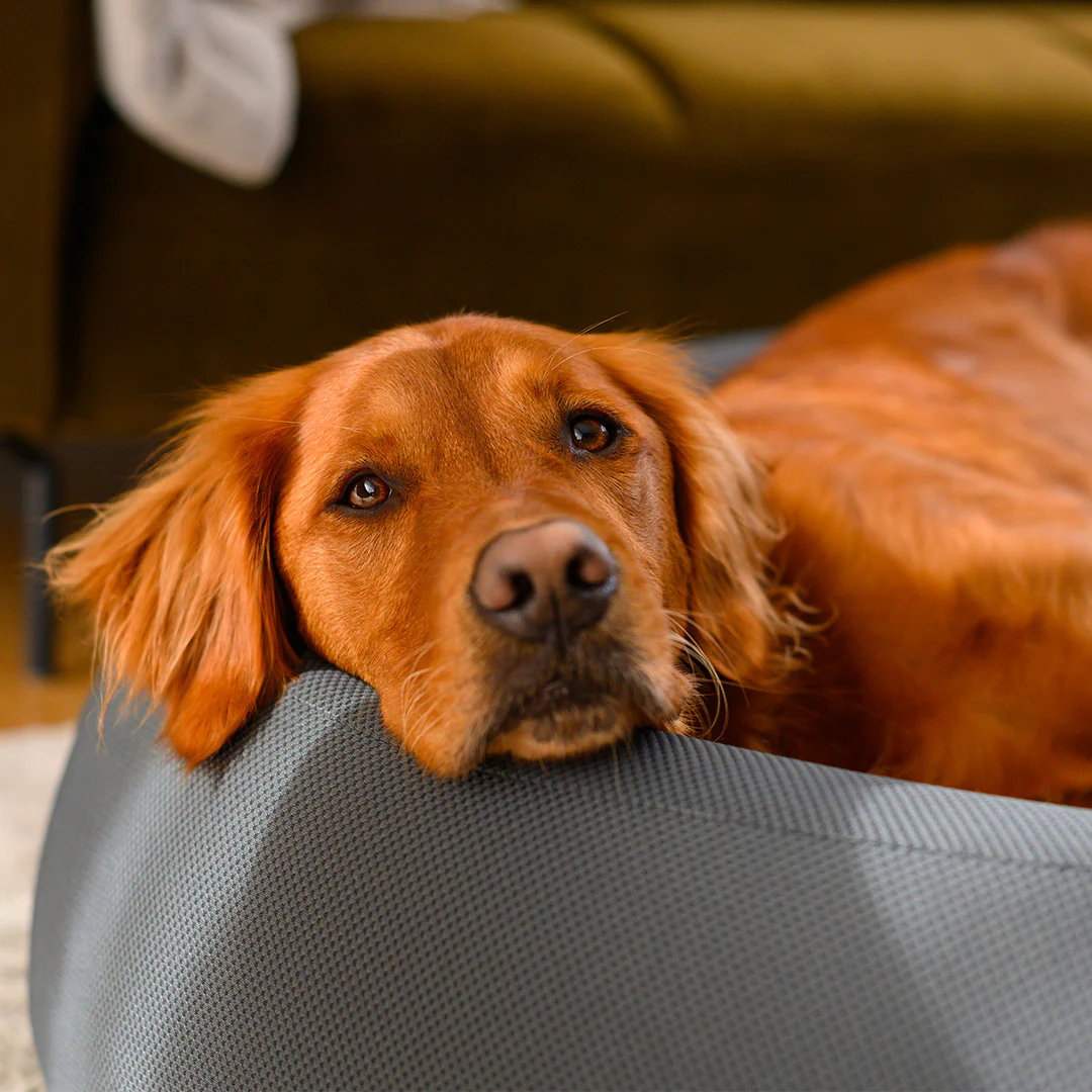 Brooklyn® Nest Dog Bed - Image 9