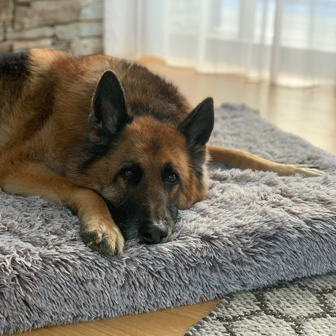 Brooklyn® Memory Foam Bed - Image 15