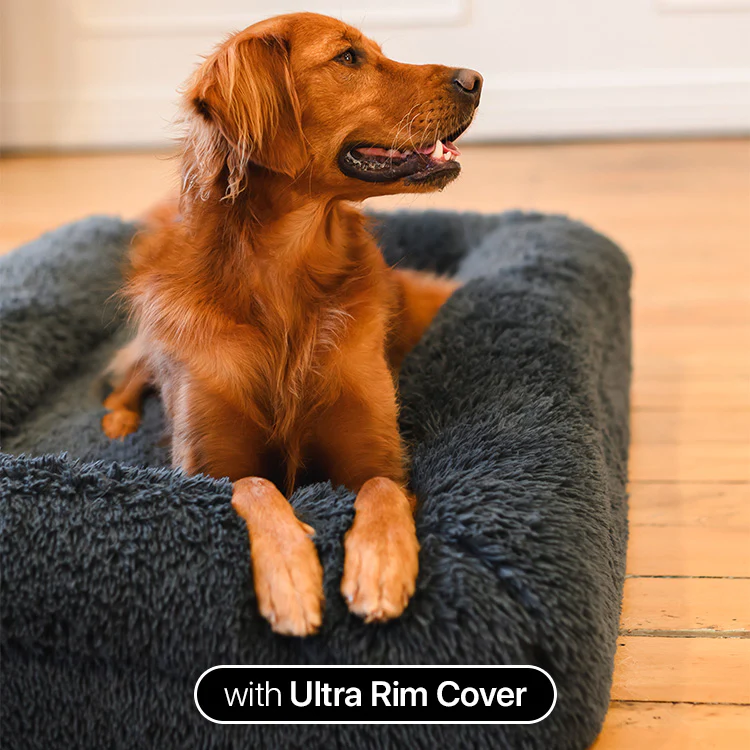 Brooklyn® Memory Foam Bed - Image 3
