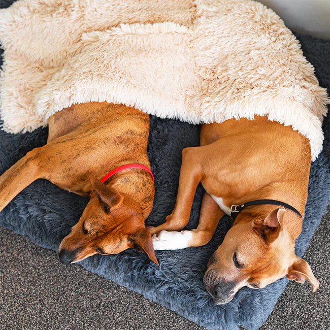 Brooklyn® Memory Foam Bed - Image 4