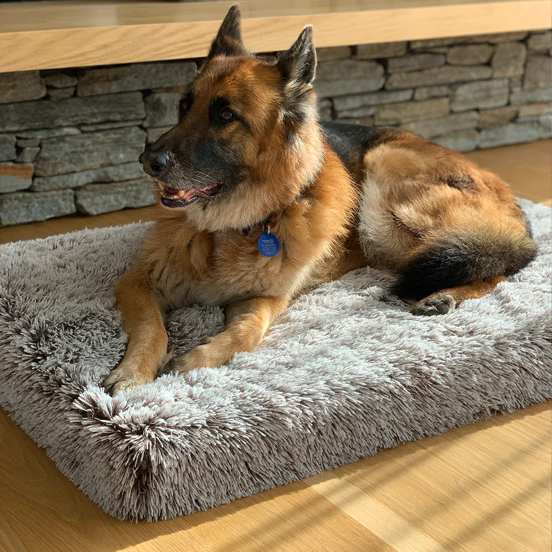Brooklyn® Memory Foam Bed - Image 5