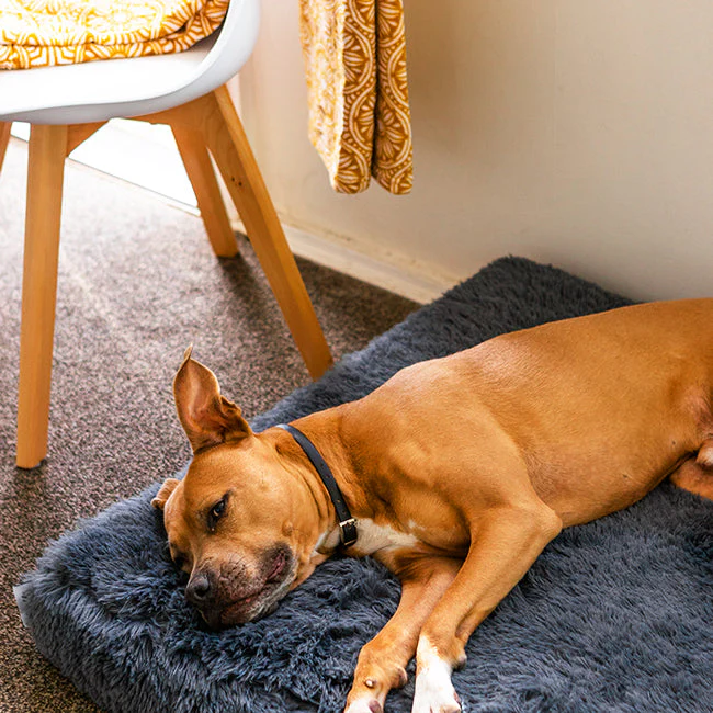 Brooklyn® Memory Foam Bed - Image 9