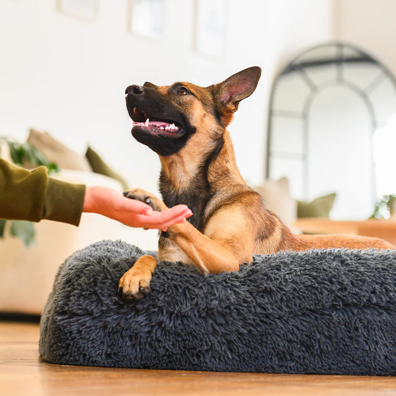 Brooklyn® Memory Foam Bolster Bed - Image 4