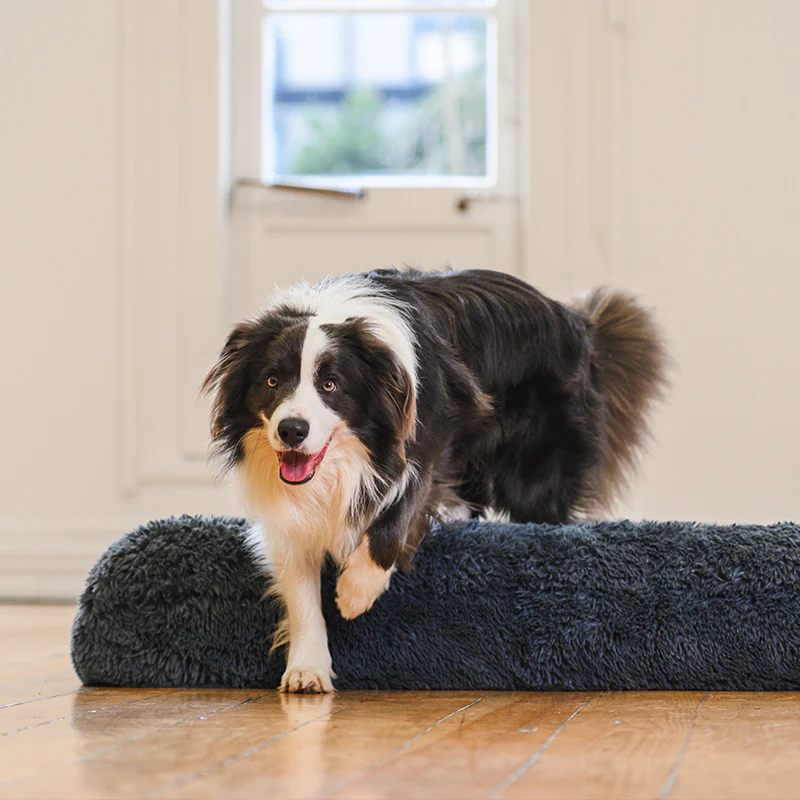 Brooklyn® Memory Foam Bolster Bed - Image 5