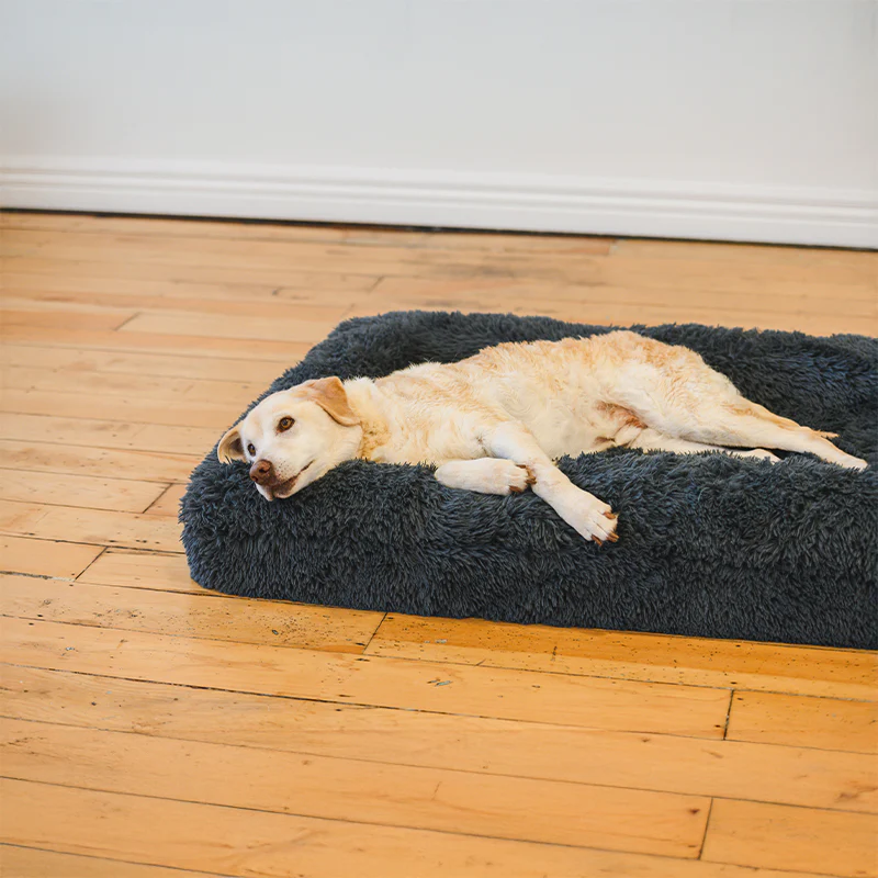 Brooklyn® Memory Foam Bolster Bed - Image 8
