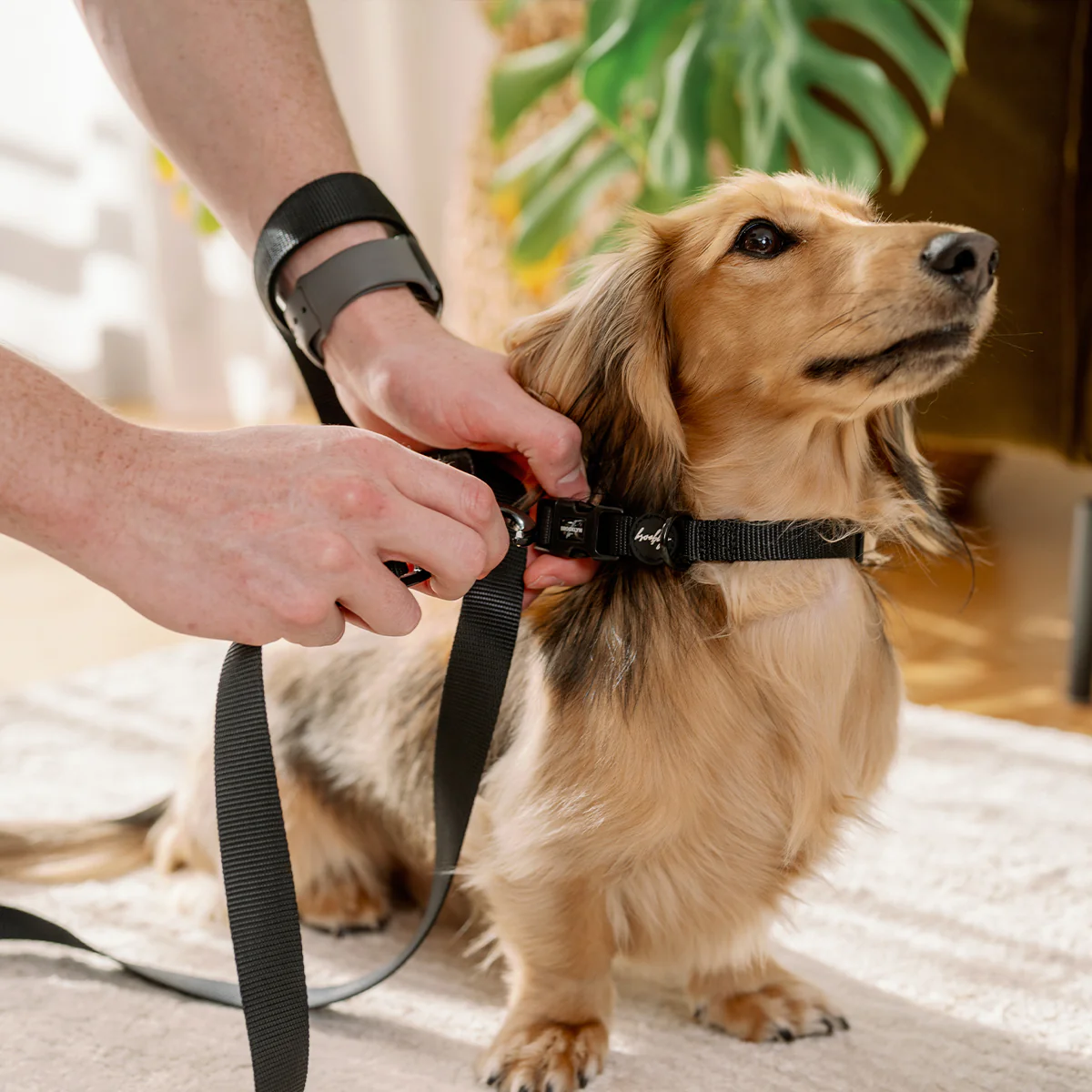 Brooklyn® Walk Set Bundle - Image 11
