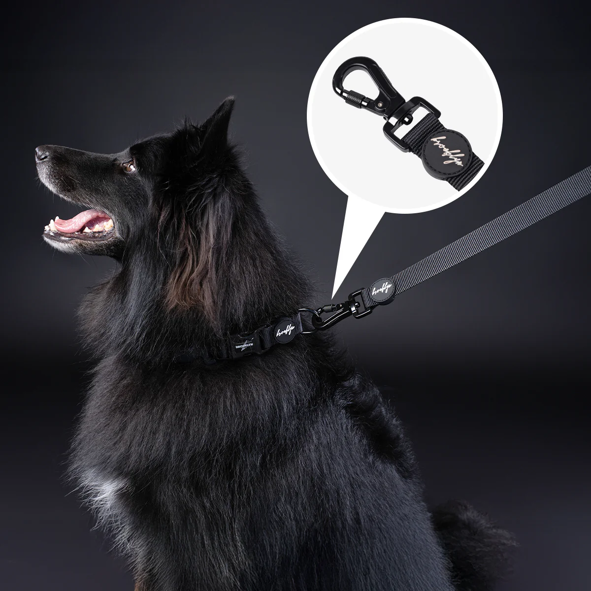 Brooklyn® Walk Set Bundle - Image 14