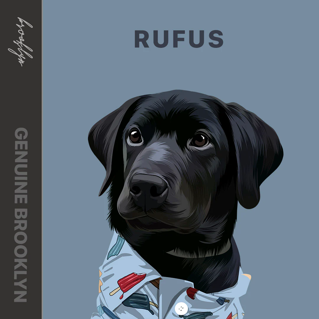 Personalised Pawtrait - Image 8